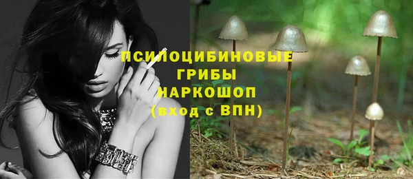дурь Аркадак